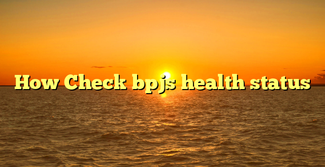 How Check bpjs health status